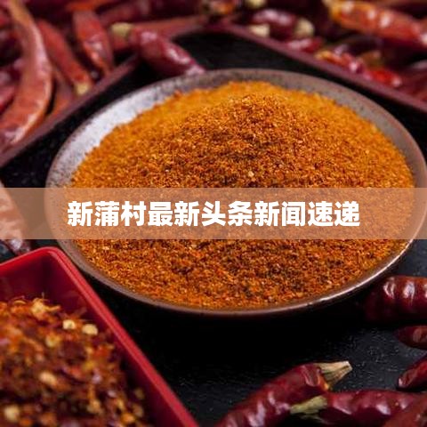 新蒲村最新头条新闻速递