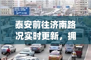 披肝沥胆 第2页