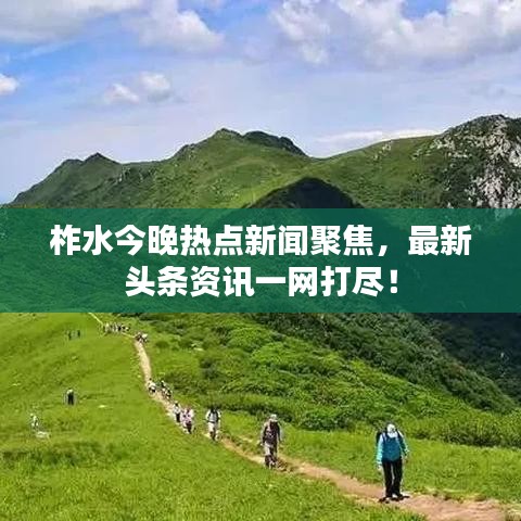 柞水今晚热点新闻聚焦，最新头条资讯一网打尽！