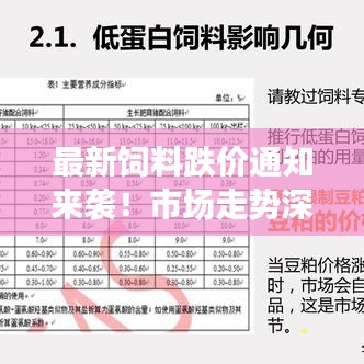 最新饲料跌价通知来袭！市场走势深度解析与应对策略建议