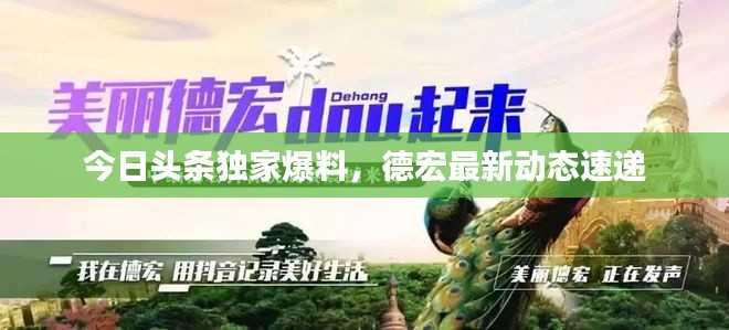 今日头条独家爆料，德宏最新动态速递