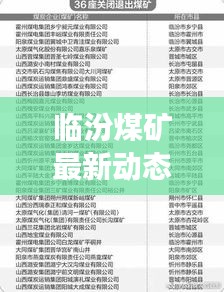 临汾煤矿最新动态、行业展望与新闻头条速递
