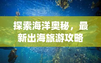 探索海洋奥秘，最新出海旅游攻略分享