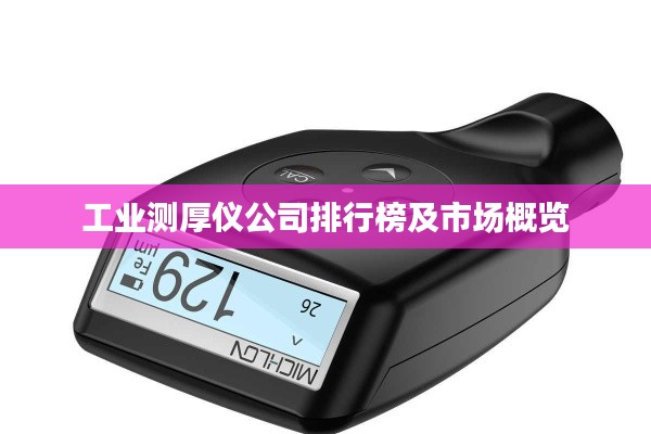 工业测厚仪公司排行榜及市场概览