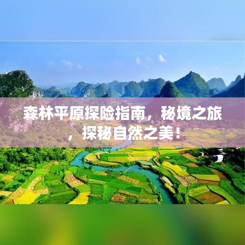 森林平原探险指南，秘境之旅，探秘自然之美！