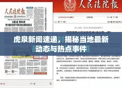 虎泉新闻速递，揭秘当地最新动态与热点事件