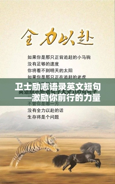 支付方式说明 第37页