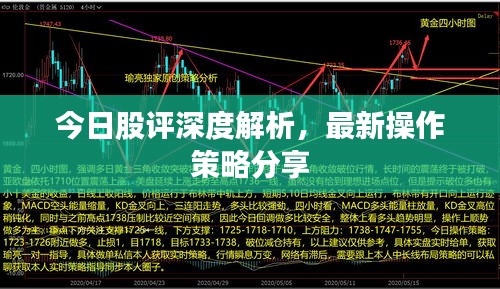今日股评深度解析，最新操作策略分享