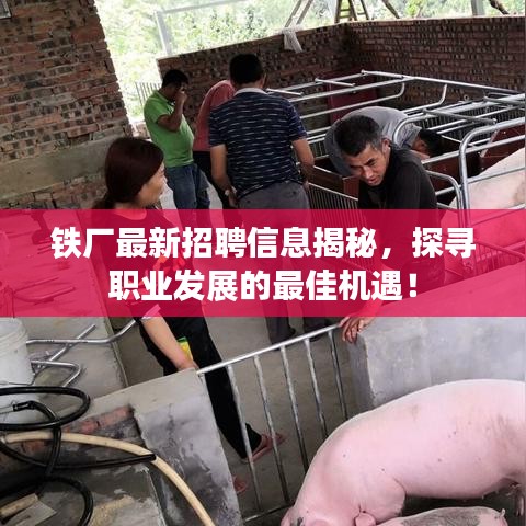 铁厂最新招聘信息揭秘，探寻职业发展的最佳机遇！