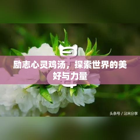 励志心灵鸡汤，探索世界的美好与力量