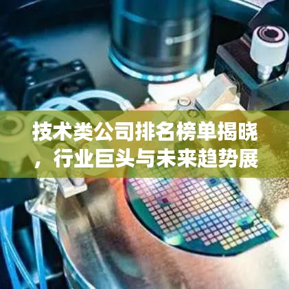技术类公司排名榜单揭晓，行业巨头与未来趋势展望