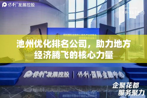 池州优化排名公司，助力地方经济腾飞的核心力量