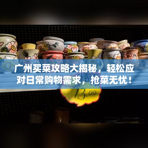 广州买菜攻略大揭秘，轻松应对日常购物需求，抢菜无忧！