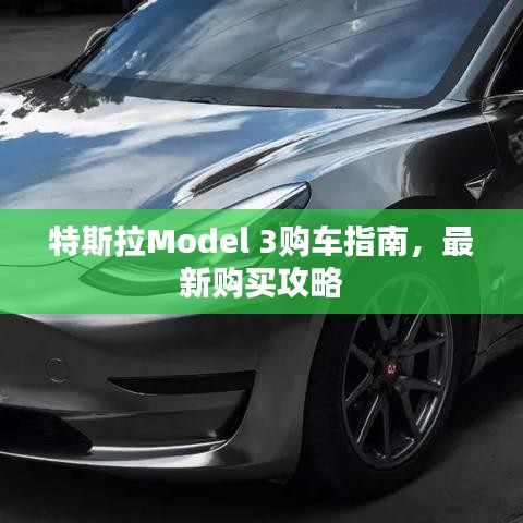 特斯拉Model 3购车指南，最新购买攻略