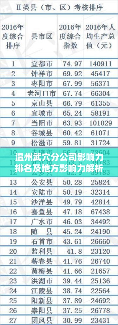 温州武穴分公司影响力排名及地方影响力解析