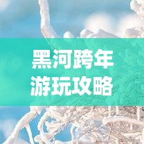 黑河跨年游玩攻略大全，带你玩转跨年之旅！