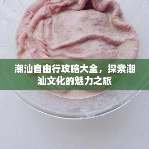 潮汕自由行攻略大全，探索潮汕文化的魅力之旅