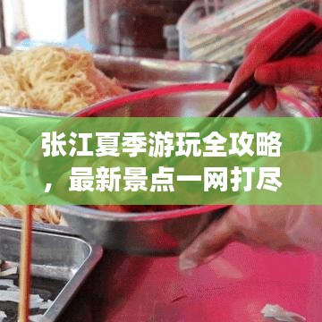 张江夏季游玩全攻略，最新景点一网打尽！