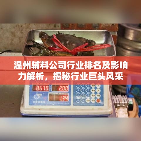 温州辅料公司行业排名及影响力解析，揭秘行业巨头风采
