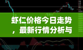 虾仁价格今日走势，最新行情分析与市场趋势解读