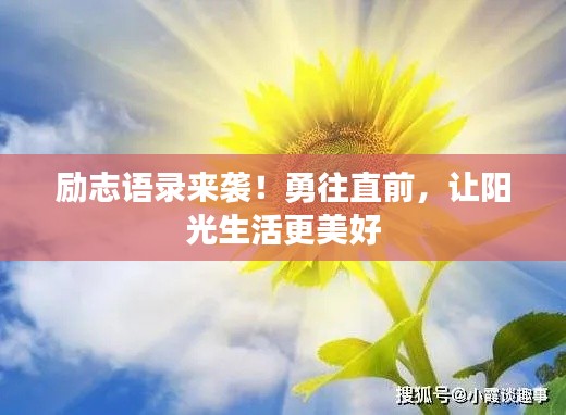 励志语录来袭！勇往直前，让阳光生活更美好