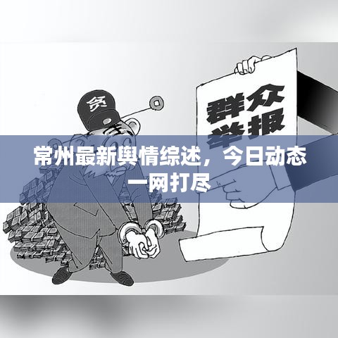 常州最新舆情综述，今日动态一网打尽