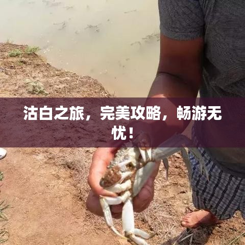 沽白之旅，完美攻略，畅游无忧！