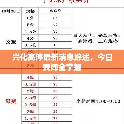 兴化高淳最新消息综述，今日要闻全掌握