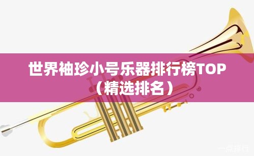 世界袖珍小号乐器排行榜TOP（精选排名）