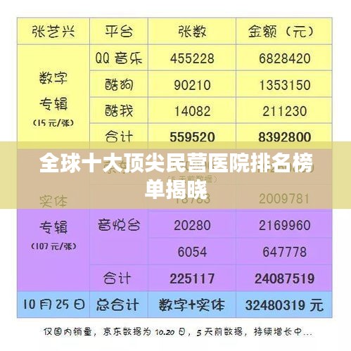 全球十大顶尖民营医院排名榜单揭晓
