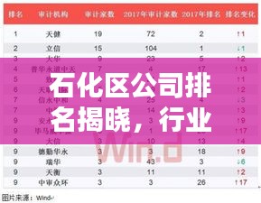 石化区公司排名揭晓，行业影响力巨头榜单揭秘