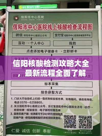 信阳核酸检测攻略大全，最新流程全面了解