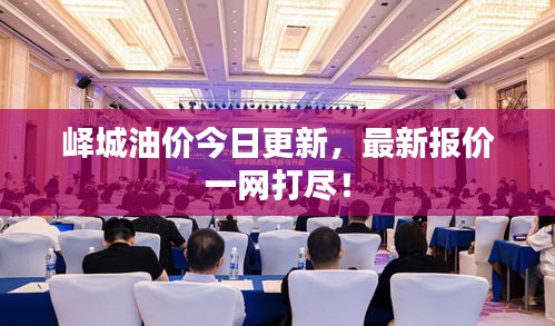 峄城油价今日更新，最新报价一网打尽！