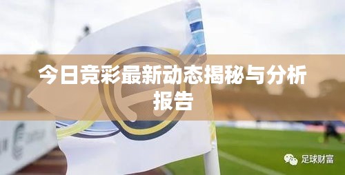 今日竞彩最新动态揭秘与分析报告