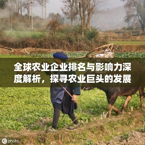全球农业企业排名与影响力深度解析，探寻农业巨头的发展轨迹与未来趋势