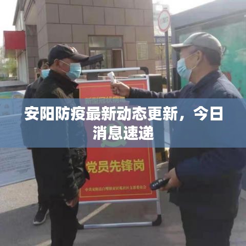 安阳防疫最新动态更新，今日消息速递