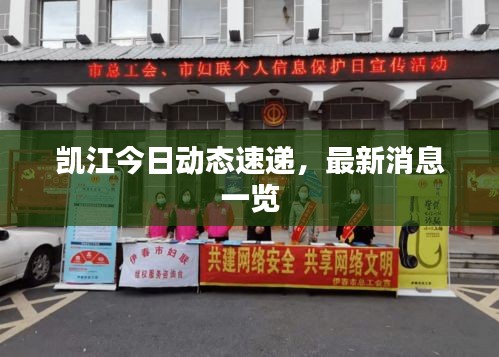凯江今日动态速递，最新消息一览