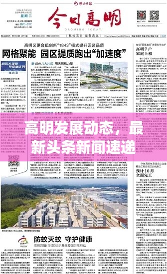 高明发展动态，最新头条新闻速递