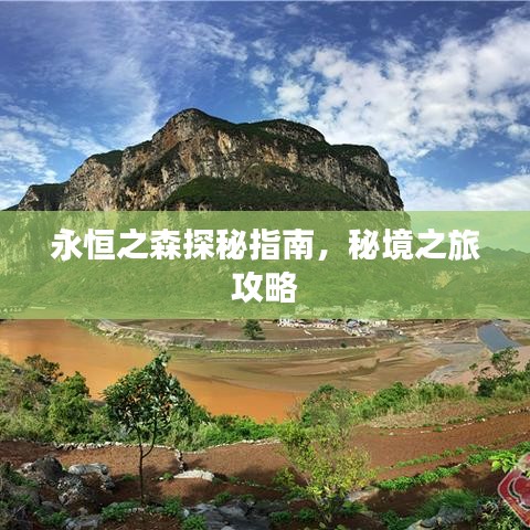 永恒之森探秘指南，秘境之旅攻略