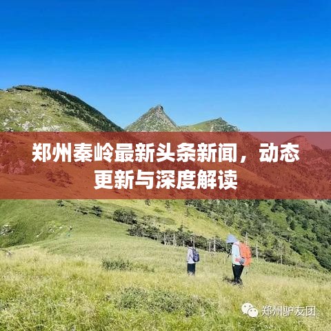郑州秦岭最新头条新闻，动态更新与深度解读