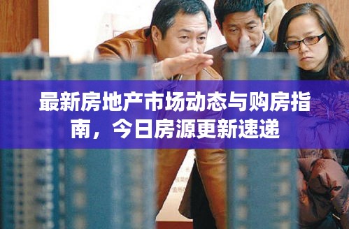 最新房地产市场动态与购房指南，今日房源更新速递