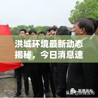 洪城环境最新动态揭秘，今日消息速递