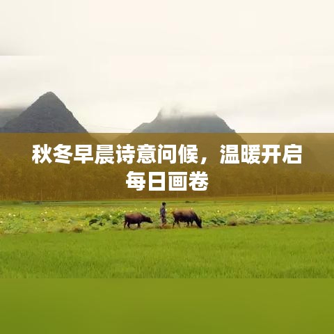 秋冬早晨诗意问候，温暖开启每日画卷