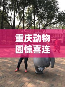 重庆动物园惊喜连连，最新动态一网打尽