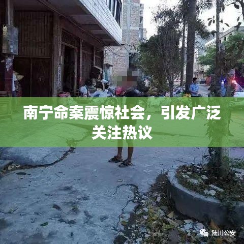 南宁命案震惊社会，引发广泛关注热议