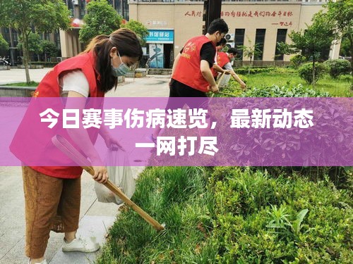 今日赛事伤病速览，最新动态一网打尽