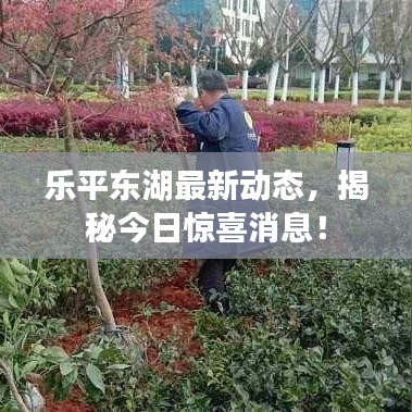 乐平东湖最新动态，揭秘今日惊喜消息！