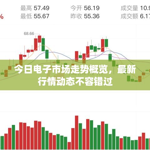 支付方式说明 第29页