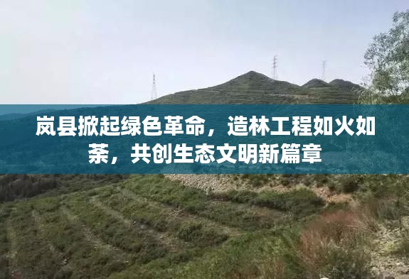 岚县掀起绿色革命，造林工程如火如荼，共创生态文明新篇章