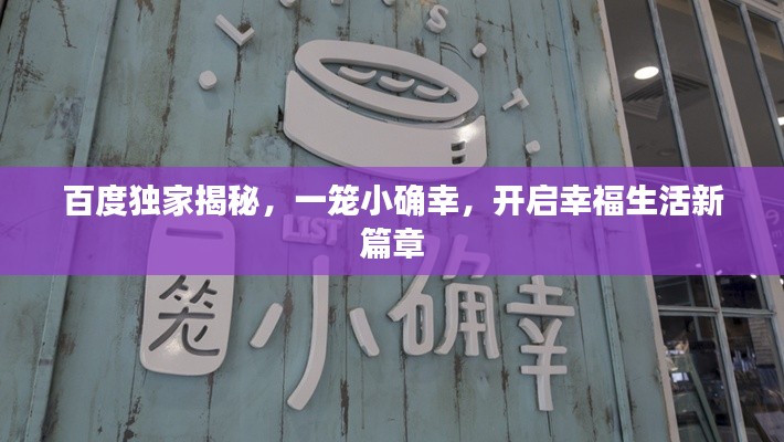 百度独家揭秘，一笼小确幸，开启幸福生活新篇章